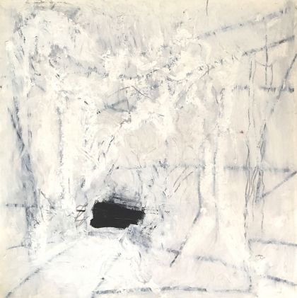 Tiefschwarz im Schnee